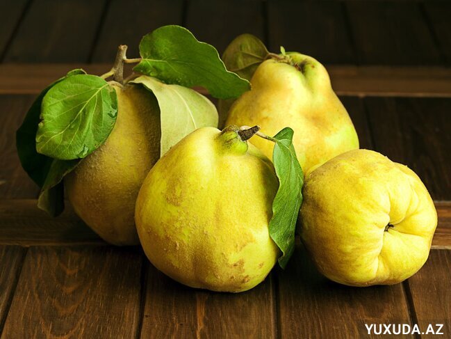 Yuxuda heyva görmək