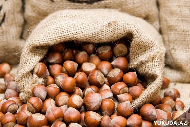 Yuxuda fındıq görmək