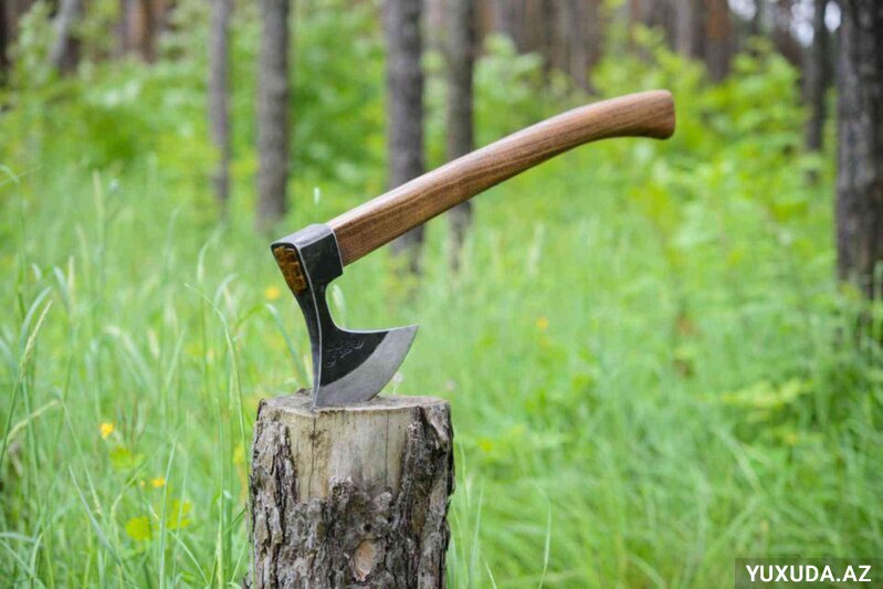 Yuxuda balta görmək