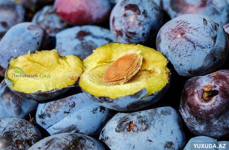 Yuxuda gavalı yemək