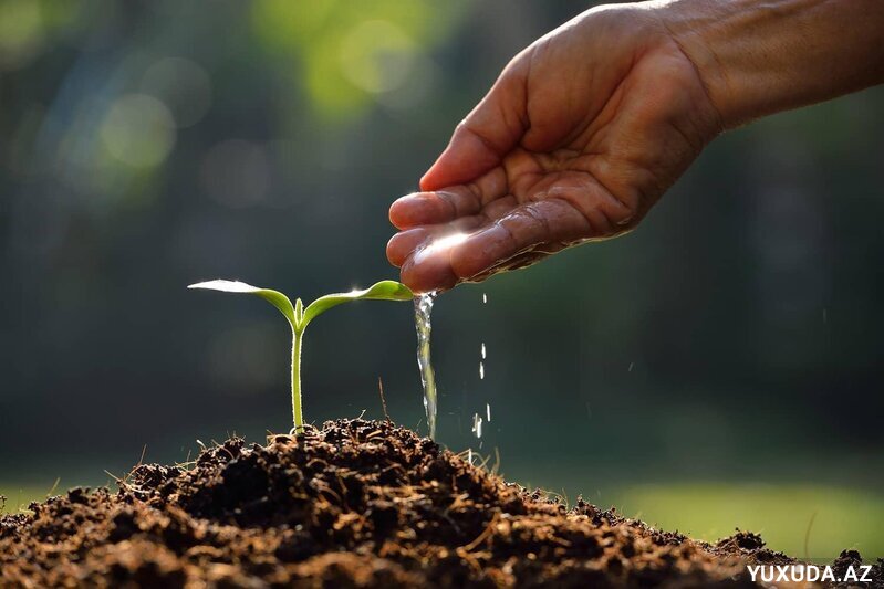 Yuxuda torpaq görmək